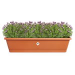 noa balcony trough xl terra